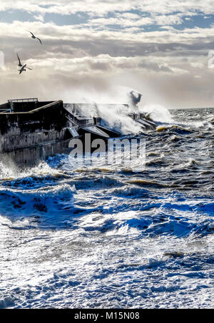Dramatic stormy sea breaking against brighton marina black harbour wall, spray and waves high in the air, rough sea and a solitary seagull trying to s Stock Photo