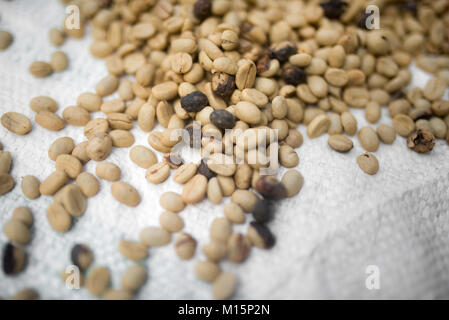 Bag of unroasted coffee beans, Medellin Stock Photo