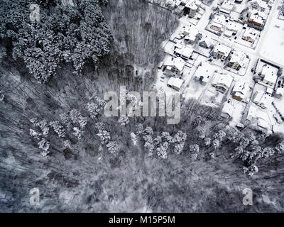 Aerial top view of forest and detached houses in winter Stock Photo