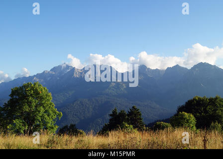 summer landscape in the Caucasian mountains with a ridge in the background