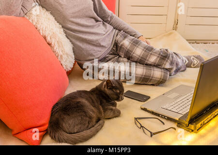 Woman in gray pajamas using a laptop with glasses, a phone and a cat next to her Stock Photo