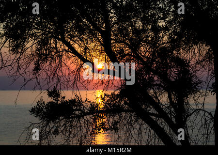 Sunset behind tree on the coast of Corfu, Greece. Stock Photo