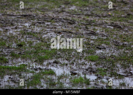 A muddy football pitch in Bognor Regis, West Sussex, UK Stock Photo - Alamy