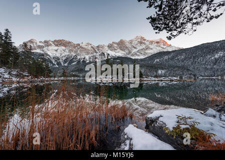 Lake Eibsee lake in winter with snow-covered Zugspitze at sunset,shore with reeds,reflection,Wetterstein range,Upper Bavaria Stock Photo