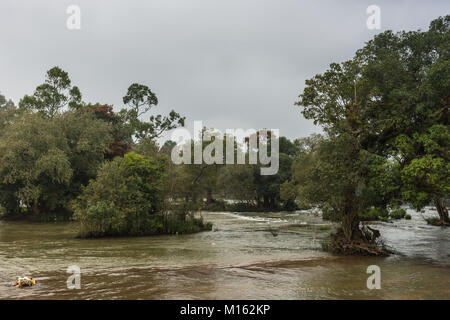 Coorg, India - October 29, 2013: View on Kaveri River across from Dubare Elephant Camp. Fast flowing water over rocks between islets with green trees. Stock Photo