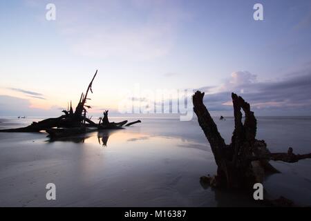 beautiful seascape and beach with an expressive sky and driftwood and dead trees on the beach at sunrise on Boneyard Beach in South Carolina Stock Photo