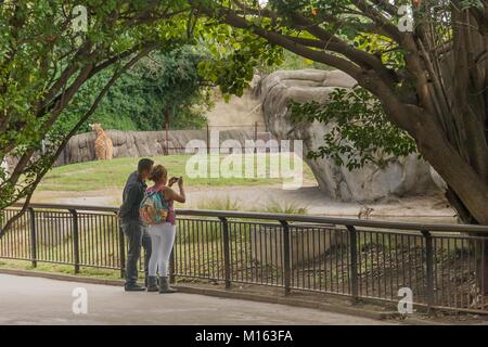 Young couple taking pictures in a zoo of Mexico City. Stock Photo