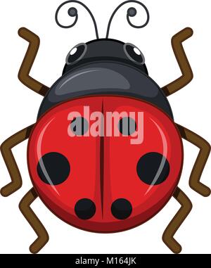 Ladybug on white background illustration Stock Vector