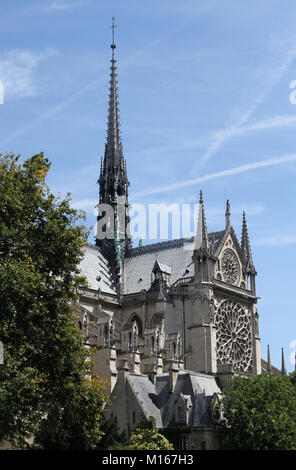 The Notre Dame Cathedral from the West, Paris, France. Stock Photo