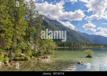 Lake Hintersee near Ramsau in Bavarian alps with trees Stock Photo