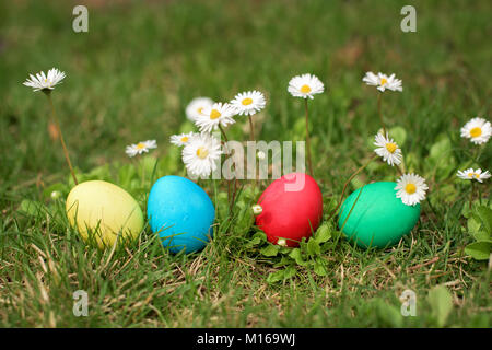 Four different color easter egs in a row Stock Photo