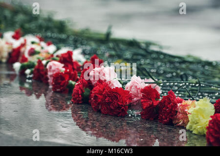 Colourful carnations lying on a wet granite surface in the rain Stock Photo