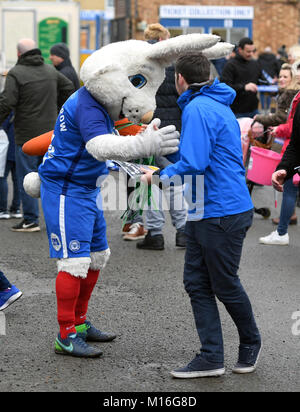 Peterborough United mascot Peter Burrow interacts with fans before the Emirates FA Cup, fourth round match at The ABAX Stadium, Peterborough. Stock Photo