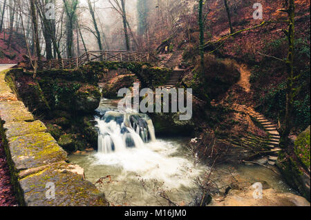 Müllerthall, Schiessentümpel Waterfall, Luxembourg Stock Photo