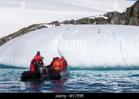 Cruise ship Antarctica expedition with tourists in Zodiac view Antarctic landscape, and Antarctica penguins, Antarctic Peninsula. Stock Photo