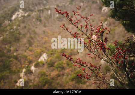 Fall mountain ranges at Gayasan National Park, Korea Stock Photo
