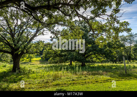 Public park located close to Waterloo, Iowa. Stock Photo