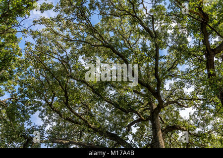 Public park located close to Waterloo, Iowa. Stock Photo