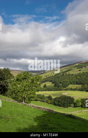 Beautiful countryside around Gunnerside in Swaledale, Yorkshire Dales, England. Stock Photo