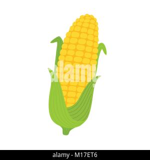 Corn yellow flat icon food natural illustration organic logo vector organic agriculture field corncob farm Stock Vector