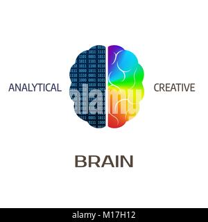 Brain icon. Left brain part - analytical. Right hemisphere of brain - creative. Vector illustration Stock Vector