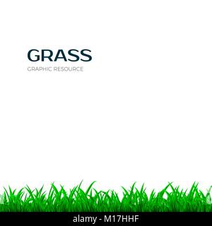 Grass border. Horizontal banner with green grass. Vector illustration isolated on white background Stock Vector