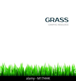 Grass texture. Realistic horizontal Herb botany frame for banner. Vector illustration Stock Vector