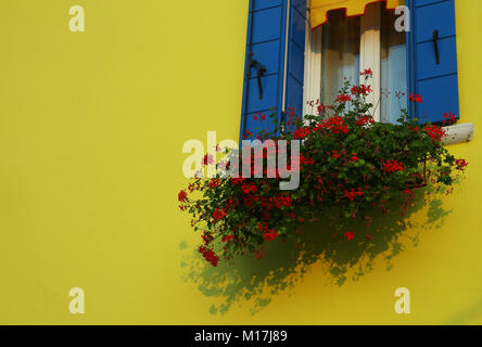 yellow house with flowery balcony with red geraniums on the isle of Burano near Venice in Italy Stock Photo