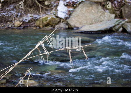 creek Stock Photo