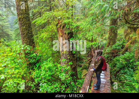 Woman hiking the Rainforest Trail, Pacific Rim National Park, Vancouver Island, British Columbia, Canada. Stock Photo