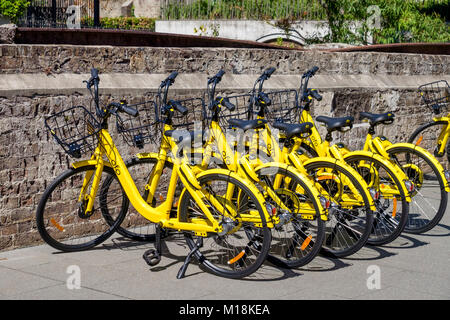 Public smart hire station-free bicycles / bikes from Ofo bike operator at streets of Sydney, NSW, Australia. Stock Photo