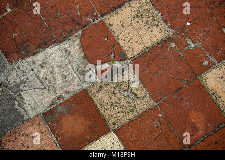 Victorian distressed terracotta tiles texture background Stock Photo