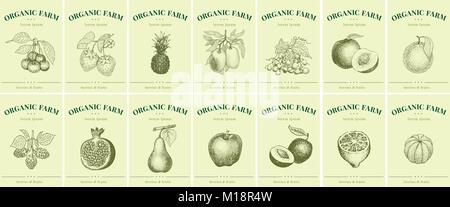 Labels with fruits and berries. Set templates price tags for shops and markets of organic food. Vector illustration art. Vintage. Hand drawn nature objects. Stock Vector