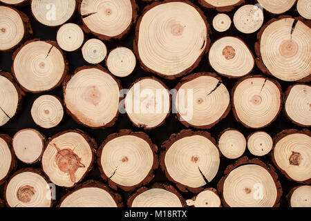 Rounded cutting wood is arranged to the beautiful natural decorative wall in a rustic style. Stock Photo