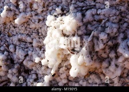 outdoor piles of picked cotton ready for processing Stock Photo