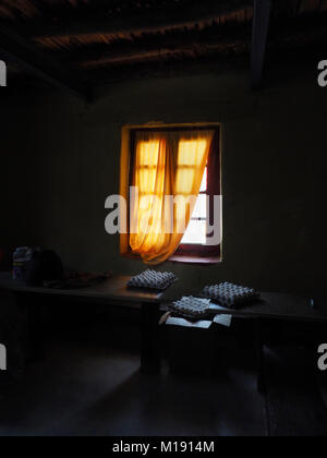 Bright yellow curtain on the window in a dark room, light from the opening illuminates the cells with white chicken eggs. Stock Photo