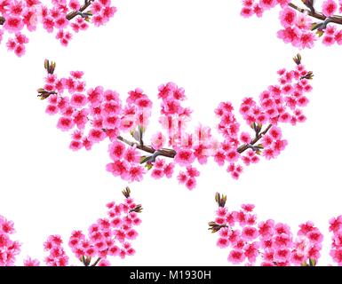 Sakura. Two branches with delicate lush purple flowers and cherry buds. Seamless without mesh and gradient. illustration Stock Vector