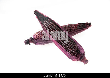 purple corn isolated on white background Stock Photo