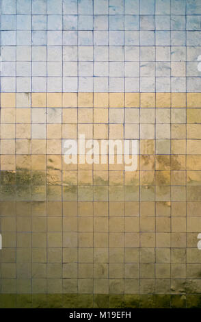the landscape is reflected on a golden tiles wall Stock Photo