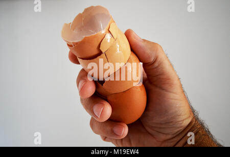 Hand holding egg shells Stock Photo