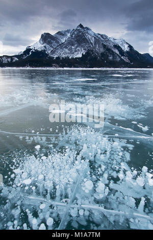 Frozen methane bubbles, Winter, Abraham Lake, Canadian Rockies, Alberta, CANADA Stock Photo