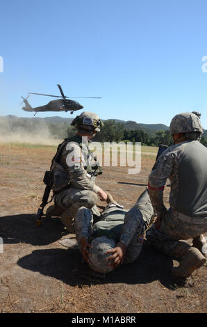 Spc. Taylor Walker, left, a field medic with Headquarters, 1st Squadron, 18th Cavalry, and a San Diego Police Officer and Spc. Juan Perez, right, from Ontario, reassure Spc. Cesire Martinez, who is from San Bernardino, that the medical evacuation helicopter is almost landed. Perez and Martinez are assigned to D Co., 40th Brigade Support Battalion and are helping and role playing as litter patient and carrier. The training, being held at Fort Hunter Liggett, was designed to familiarize everyone on how to call in a medevac, prepare and load littered patients onto a waiting helicopter, operated b Stock Photo
