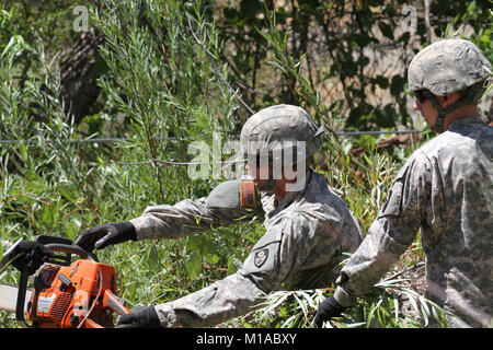 California Army National Guardsmen from the 132nd Multirole Bridge Company (MRBC), based in Redding, California, operate a chainsaw to remove debris at the Cache Creek River Aug. 7 at Cache Creek National Park in Yolo County, California. (U.S. Army National Guard photo/Staff Sgt. Eddie Siguenza) Stock Photo