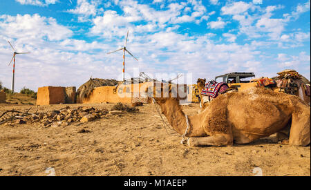 Camels used for desert safari rides at a rural village in Thar desert area of Jaisalmer, Rajasthan Stock Photo