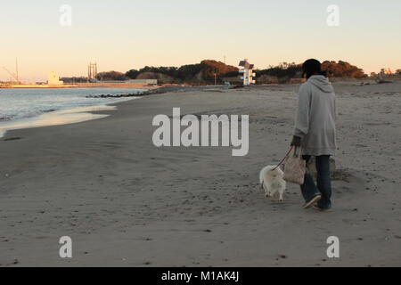 (4 November 2015 , Soma, Fukushima, Japan) Local citizen taking a walk with pet at Matsukawaura beach, Soma,city Japan. The beach has been closed for swimming due to under construction and decontamination process for 6 years since 2011 Tsunami-earthquake disaster and its aftermath. However local people still can enjoy there for walking or taking a rest. Soma city is planning to finish the process of reconstruction and decontamination in order to reopen the beach for tourists from 2018 onward. Stock Photo
