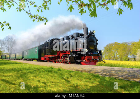 Historical German steam train in spring, Rugen, Germany, panoramic ...