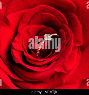 Sparkling engagement ring inside red rose. Romantic gift for valentines day. Marriage proposal concept Stock Photo