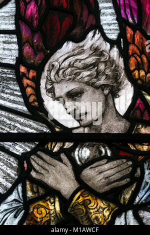 Angel stained glass window detail, All Saints Church, Narborough, Leicestershire, England, UK Stock Photo