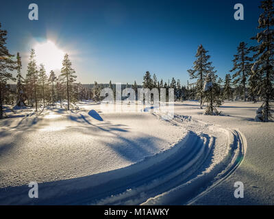 Single-track snow mobile tracks through winter landscape. Ski track groomed. Low sun above horizon. Pines scattered around. Stock Photo