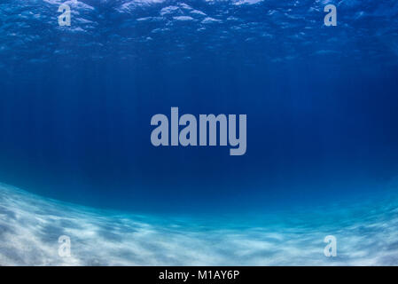 A peaceful image of a shallow, sunlit, sandy seabed with clear blue water and the ocean surface above, in Sumbawa, Indonesia. Stock Photo